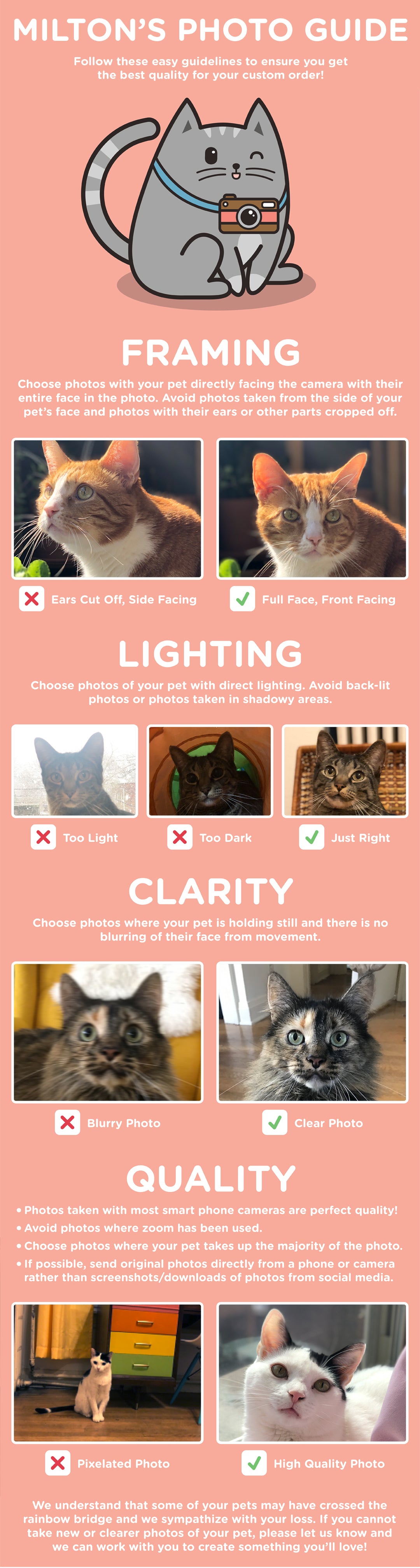 meowingtons print your pet photo guide