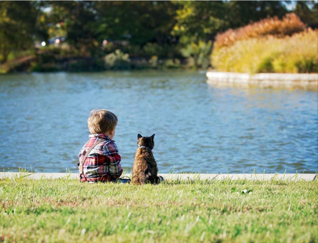 Продолжаем сидеть. У любой тоски есть год спустя. Kid and Cat. Созерцание кот. Делиться фото.