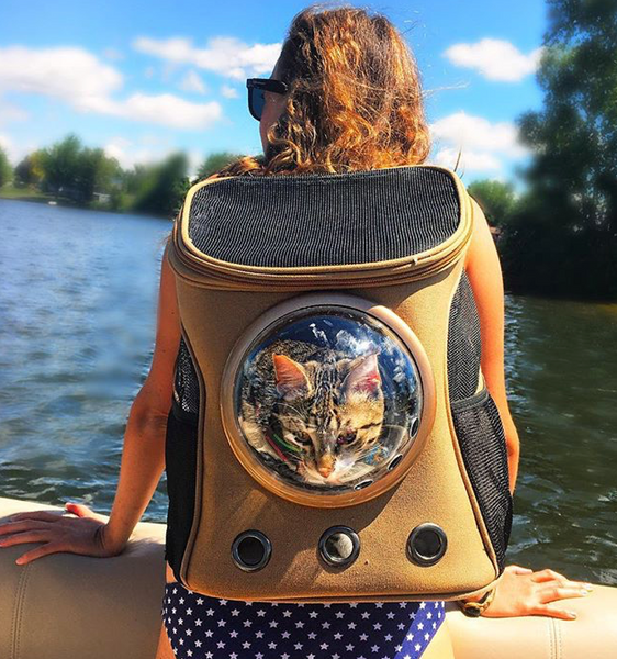 navigator backpack travel cat