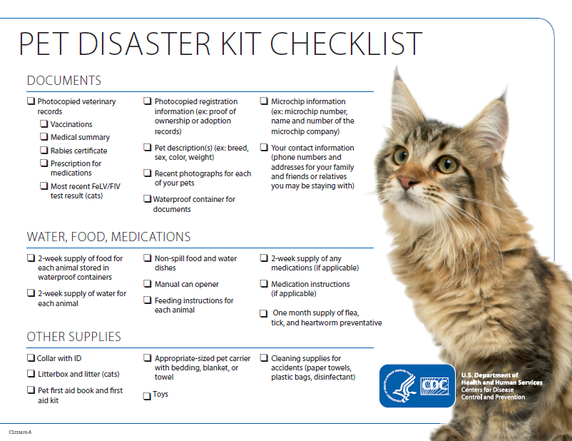Cat Evacuation Kit