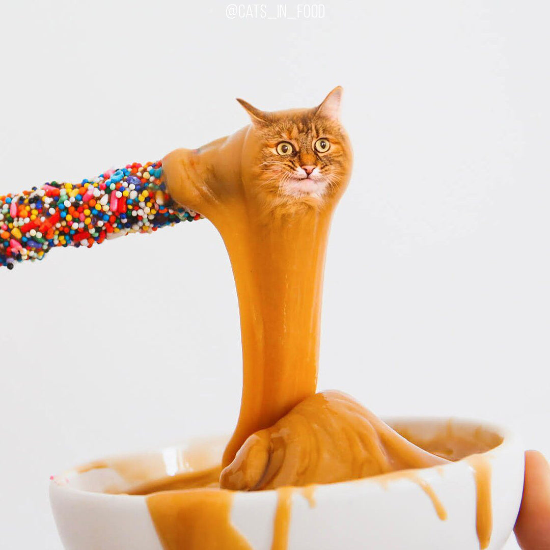 This thread is for thought-unprovoking pictures - Page 10 Cat-in-food-10