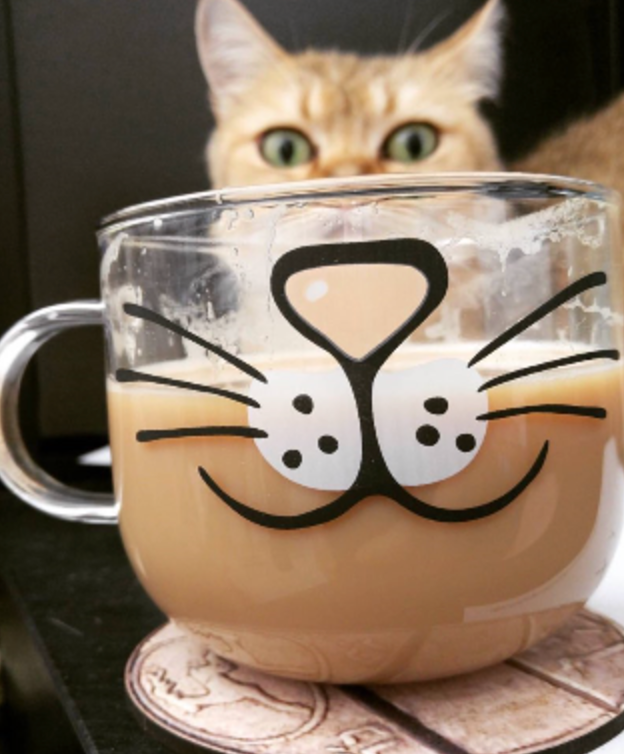 cat face mug glass coffee cat mug