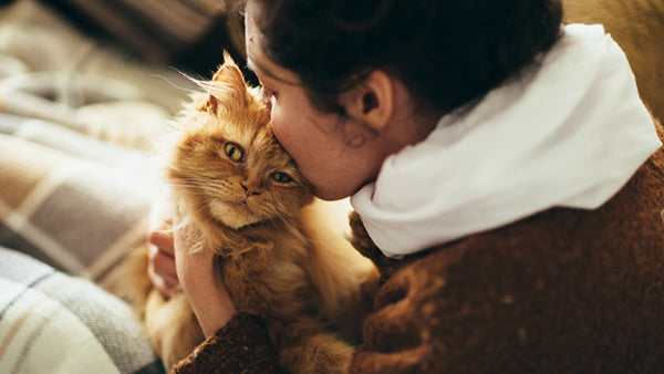 10 Completely Sane Ways To Celebrate Being A Crazy Cat Lady