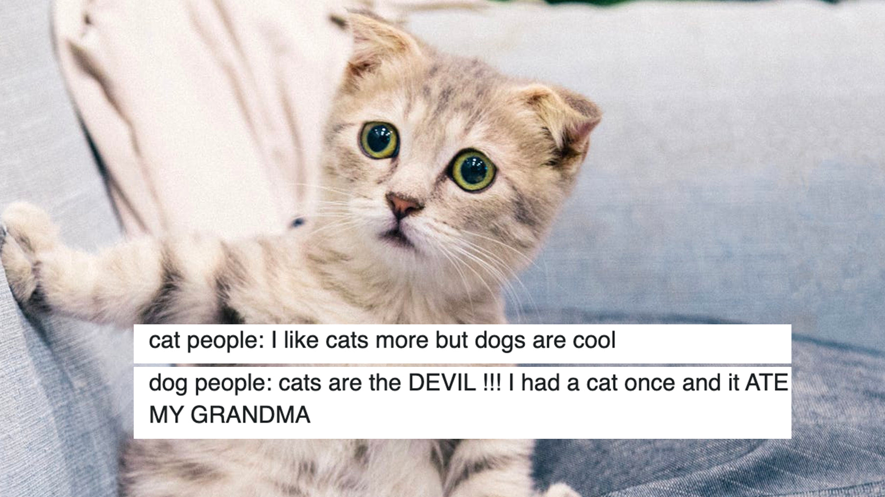 15 Tweets That Illustrate The Differences Between Cat People And Dog P –  Meowingtons