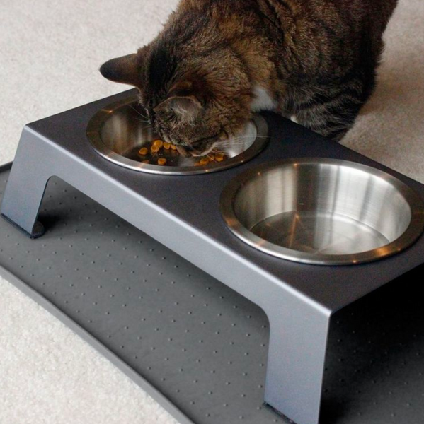 cat food bowl to slow down eating