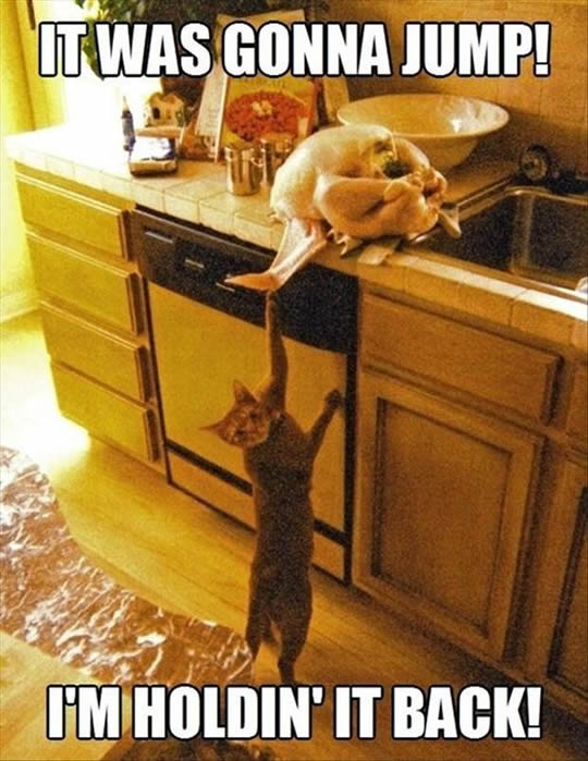 cat_stealing_turkey.jpg