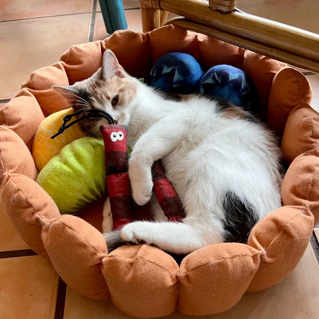 Fruit Tart Cat Bed