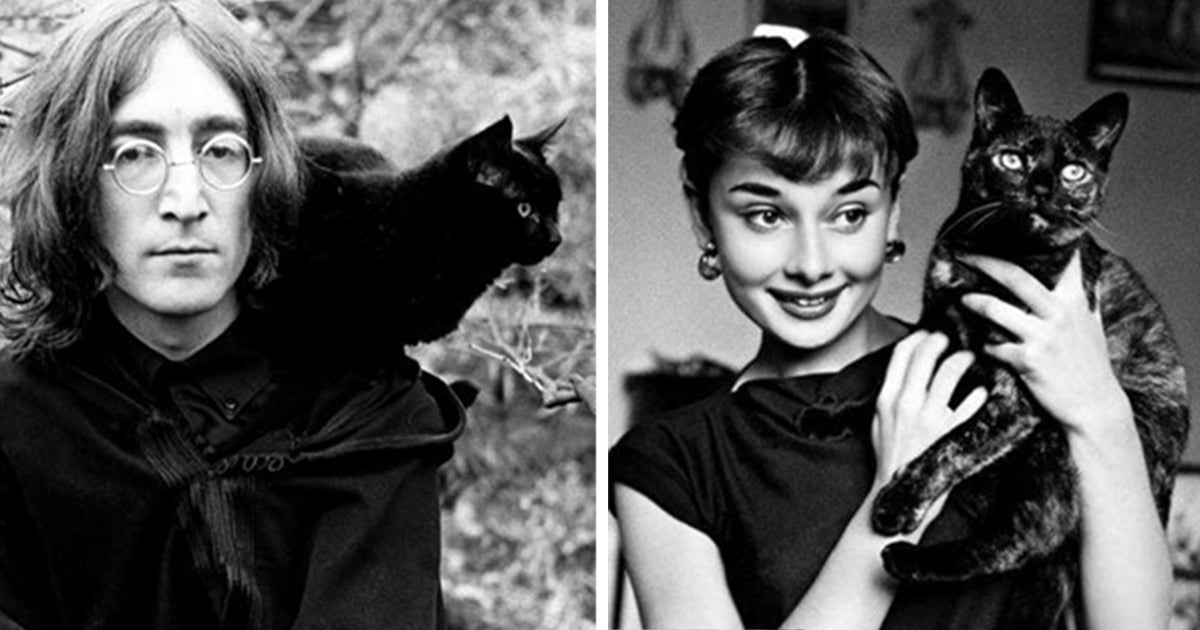 Celebrate International Cat Day With These Famous Cat Lovers And