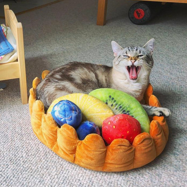 12 Purrfect Birthday Gift Ideas For Your Cat-Obsessed ...