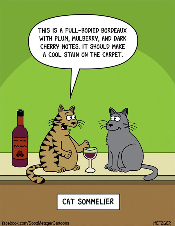 funny-cat-comics-scott-metzger-cartoons-107-5b0eb26616281__605.jpg?v=1534360943