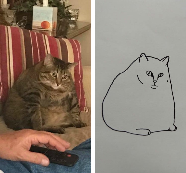  Minimalist  Cat  Art on Reddit Will Change the Way You Look 