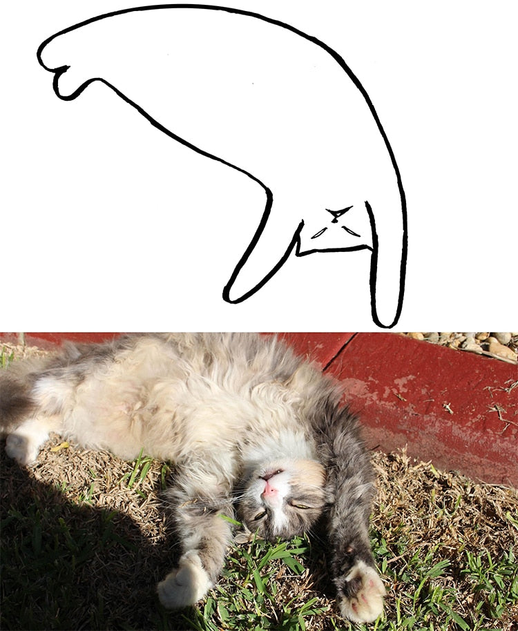  Minimalist  Cat  Art on Reddit Will Change the Way You Look 