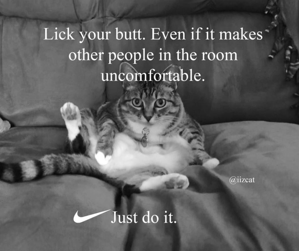 Nike 'Just Do It' Cat Memes That Will Make Your