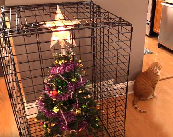 Genius Hacks to Cat-Proof Your Christmas Tree – Meowingtons