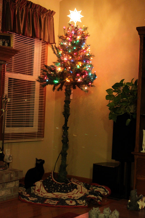 Genius Hacks To Cat Proof Your Christmas Tree Meowingtons