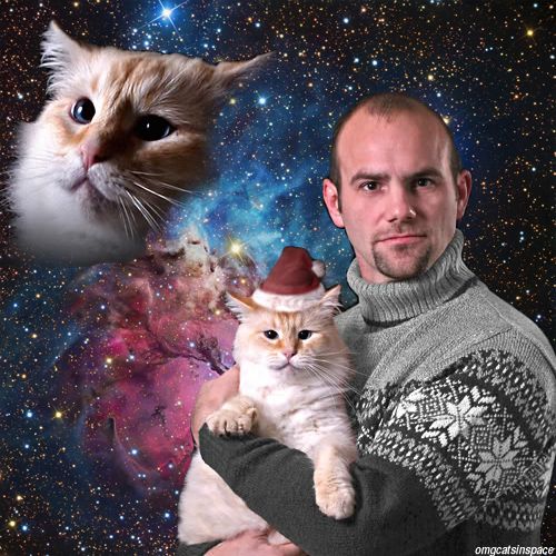 bad family christmas photos with cats