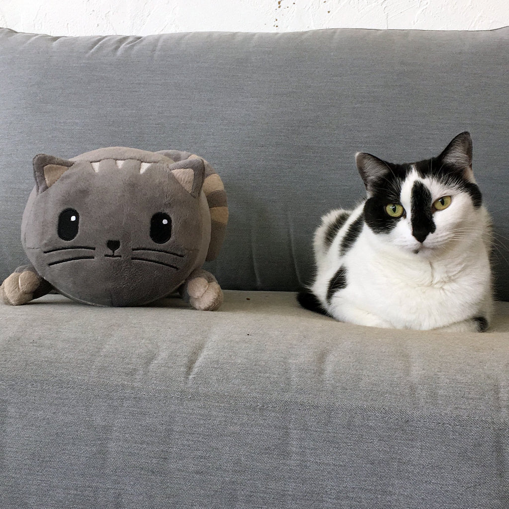 stuffed cat pillow