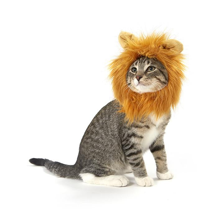 Lion Cat Costume Meowingtons