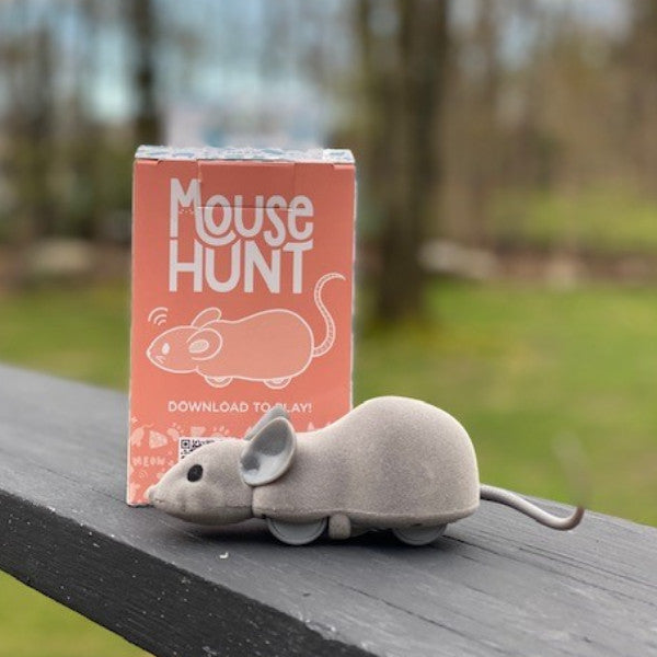 Mouse Hunt Cat Toy, App Controlled