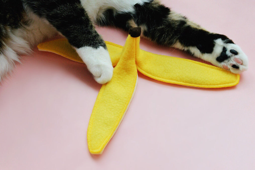 banana catnip toy