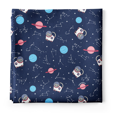 Clowder Cat Print 100% Chiffon Scarf Wrap – Meowingtons