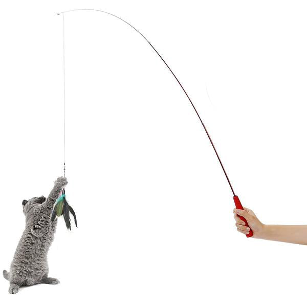 fishing pole cat toy