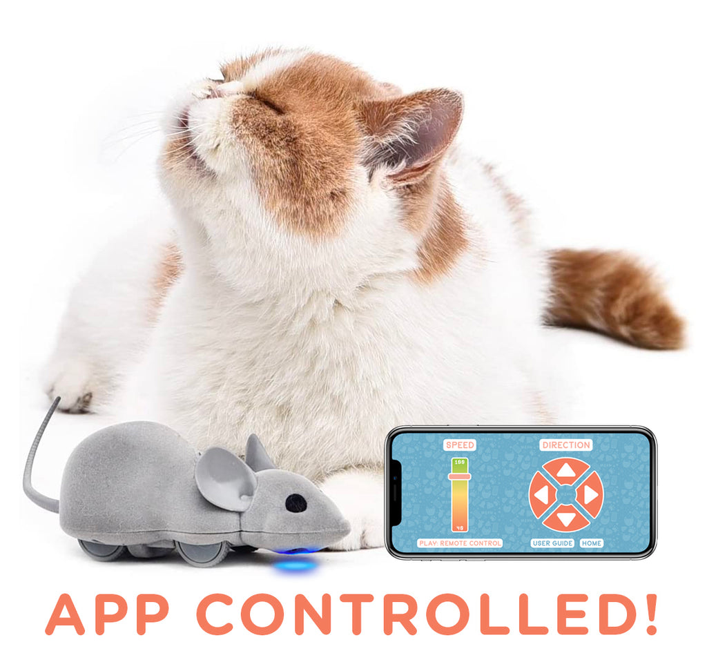 meowingtons remote control mouse