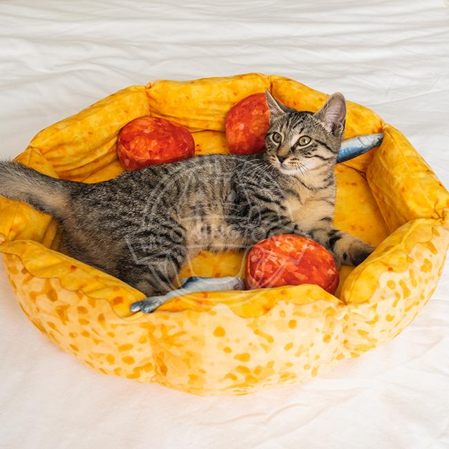 cute cat beds