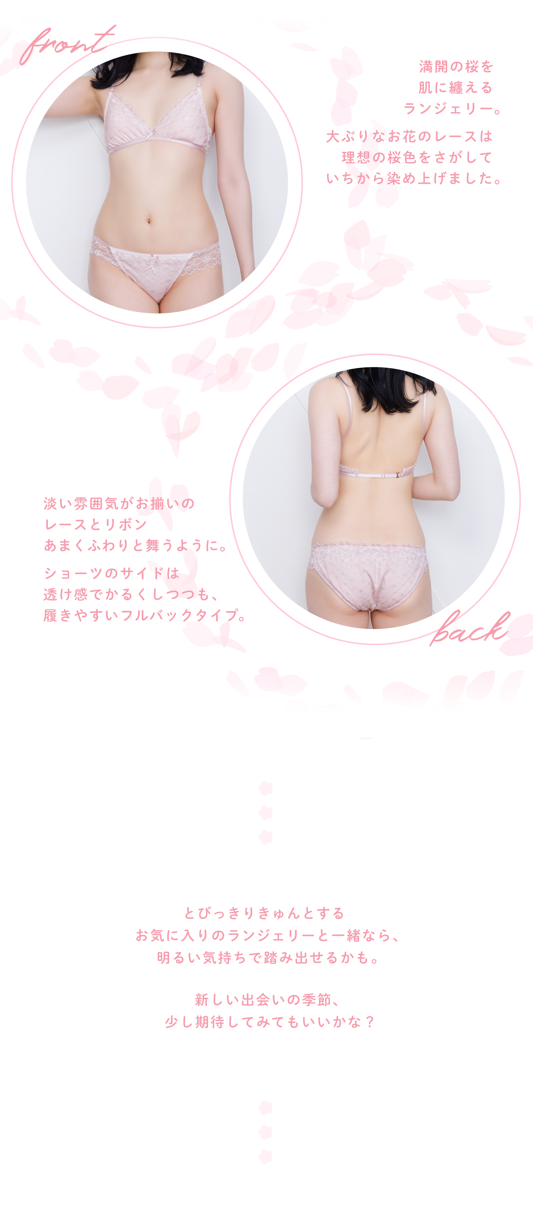 小胸 Aカップ AAカップ AAAカップ  Bカップ 貧乳 ブラ ノンワイヤーブラ 下着