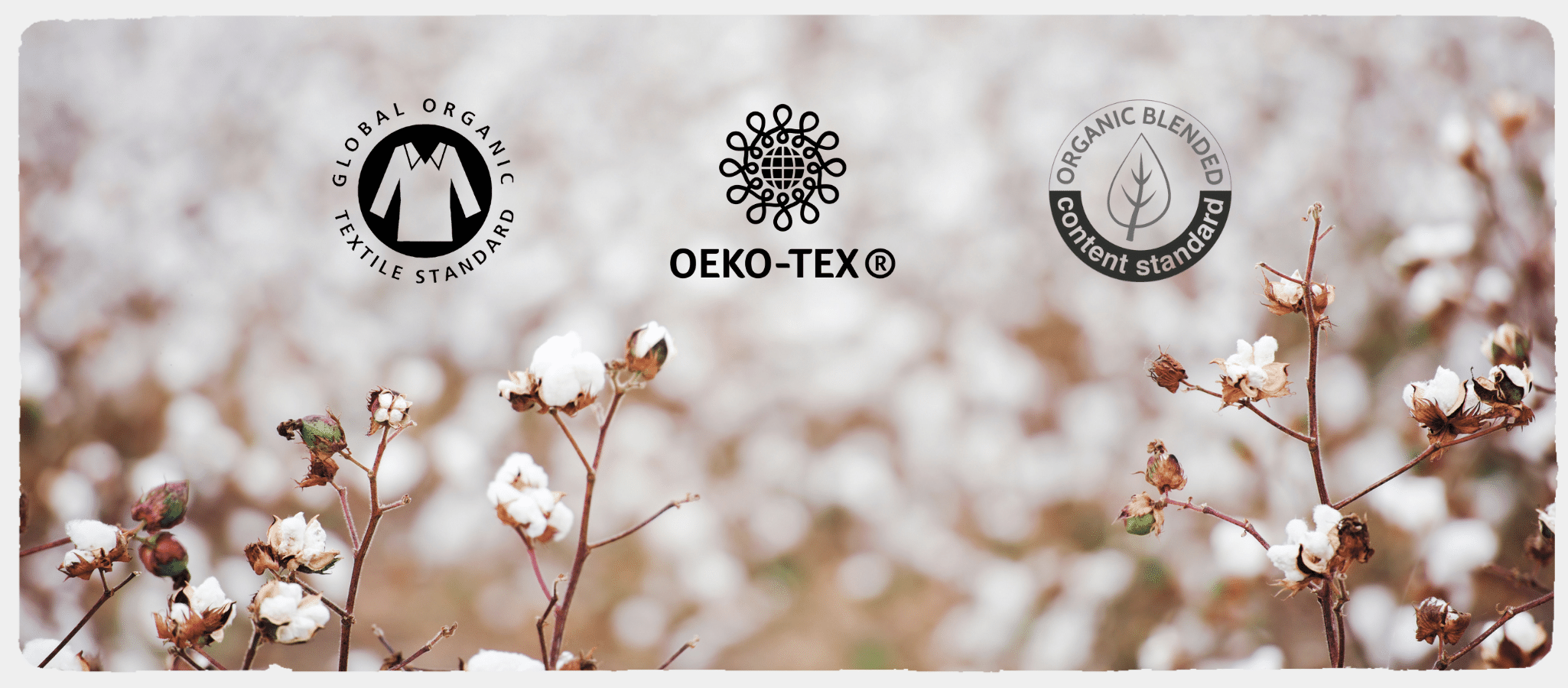 OEKO-TEX global organic textile sstandard