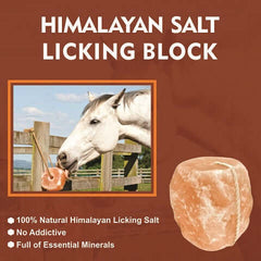 salt bricks for animal