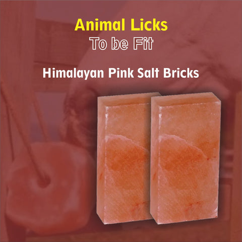 salt bricks for horses