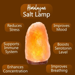 Himalayan Salt Lamp