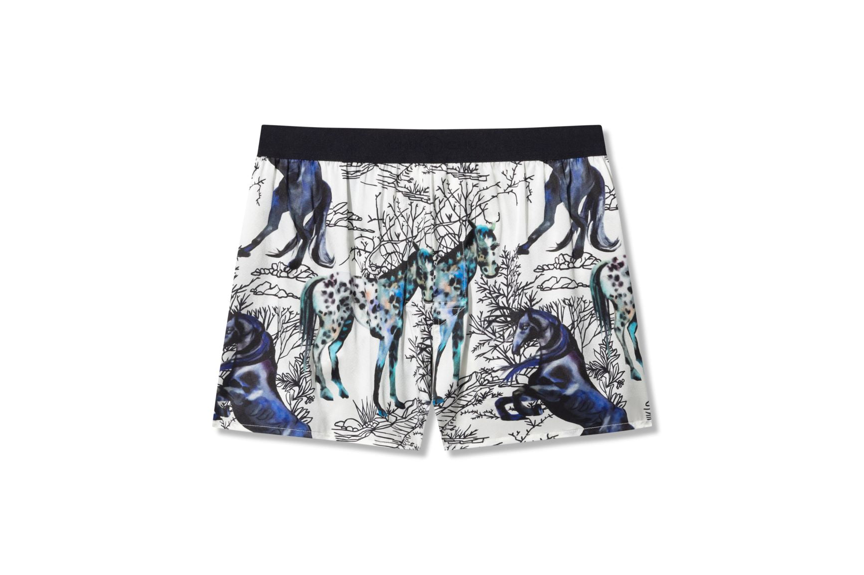 Mens Printed Silk Boxer Shorts In Rancho Chuochu 