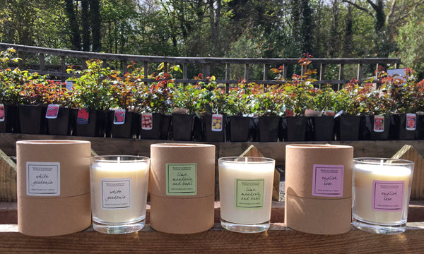 Environmentally Friendly Candles - Candles by Northumbrian Candleworks