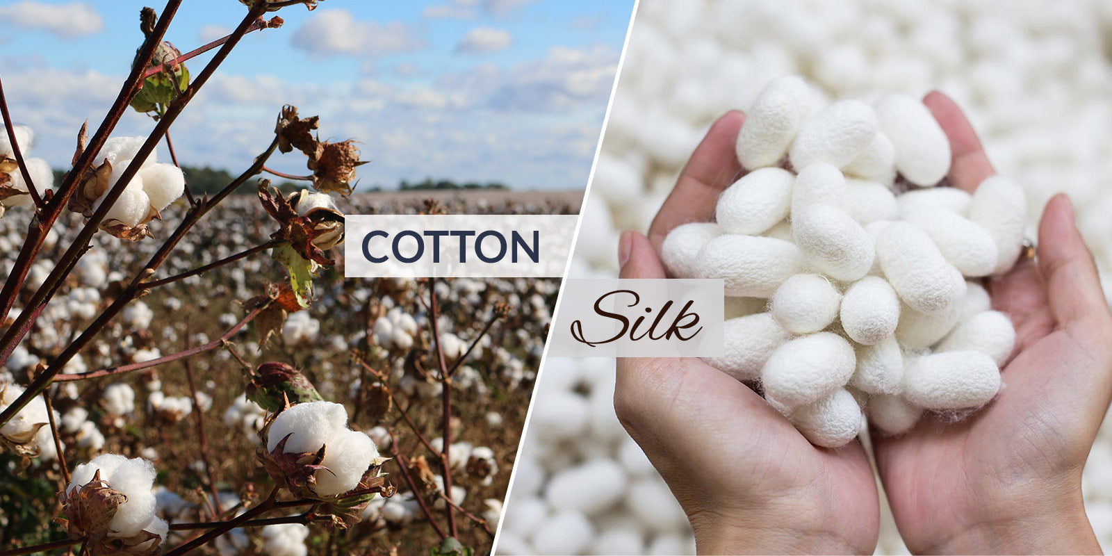Silk Vs. Cotton: Understanding the Key differences for Skin and
