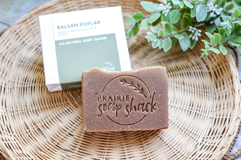 balsam poplar soap 