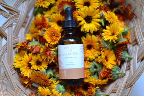 renew oil cleanser in fresh calendula