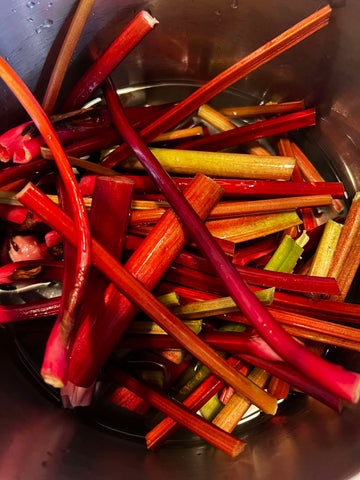 rhubarb stalks