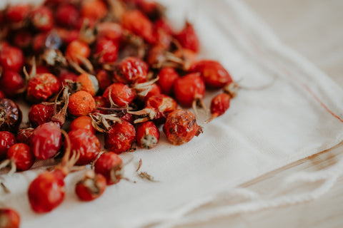dried rose hips