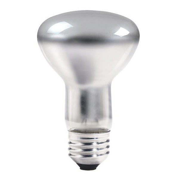 Ampoule industrielle Philips E14/20W/230V