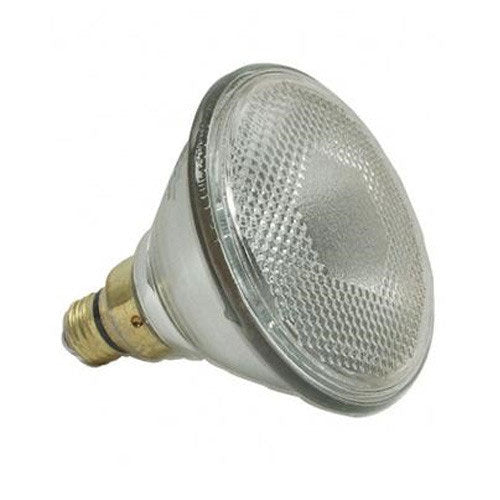 GE 100w PAR38 H/FL25 Bulb 17947