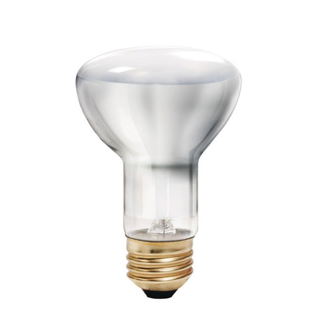 Philips 40w 120v R20 Frosted E26 FL Halogen Energy Saver Reflector Lig –  BulbAmerica