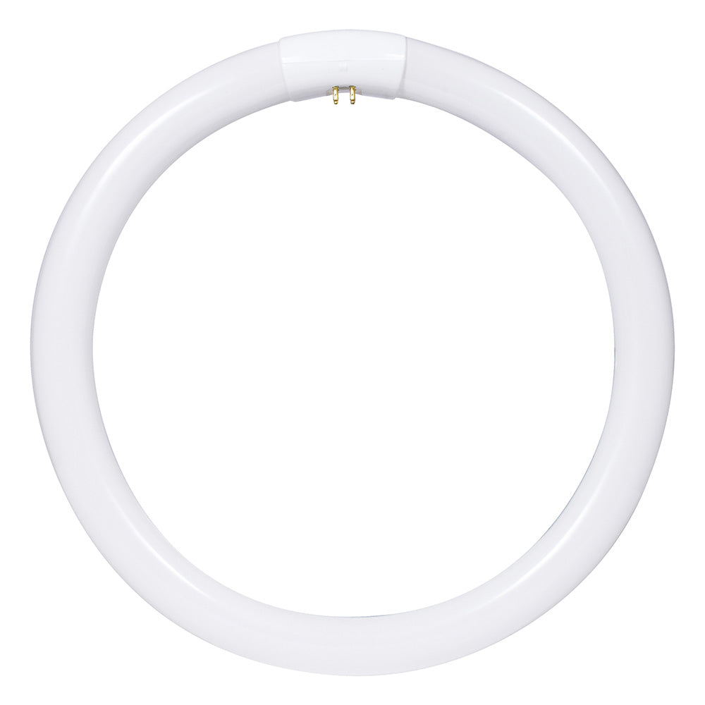 Sylvania FC12T9 32w 12in. T9 4100K Cool White 1800Lm Circline Fluorescent Bulb