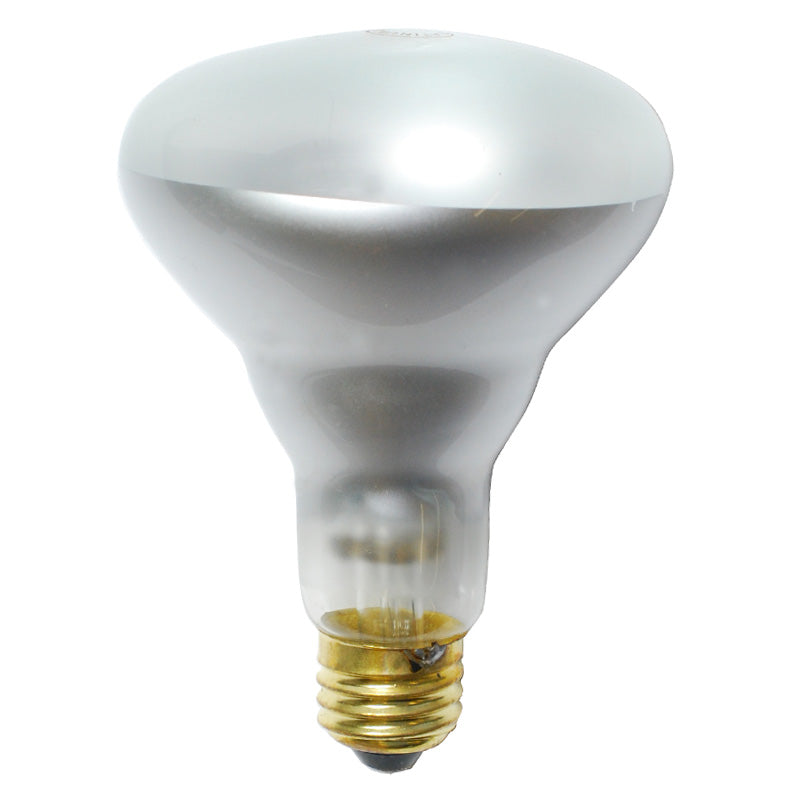 BulbAmerica 42W 130V BR30 Flood Halogen Bulb - 60w incand. equiv.