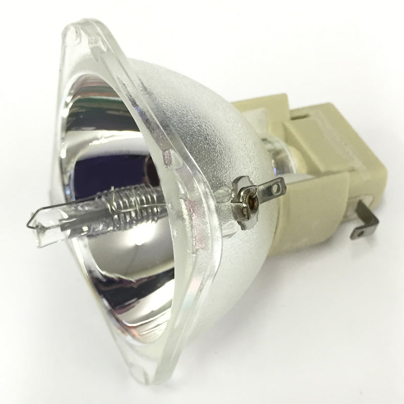 Optoma BL-FP230H Projector Bulb - OSRAM OEM Projection Bare Bulb
