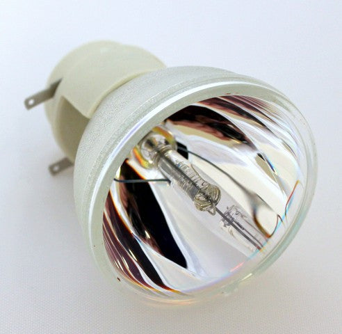 Optoma SP.8FE01GC01 Projector Bulb - OSRAM OEM Projection Bare Bulb