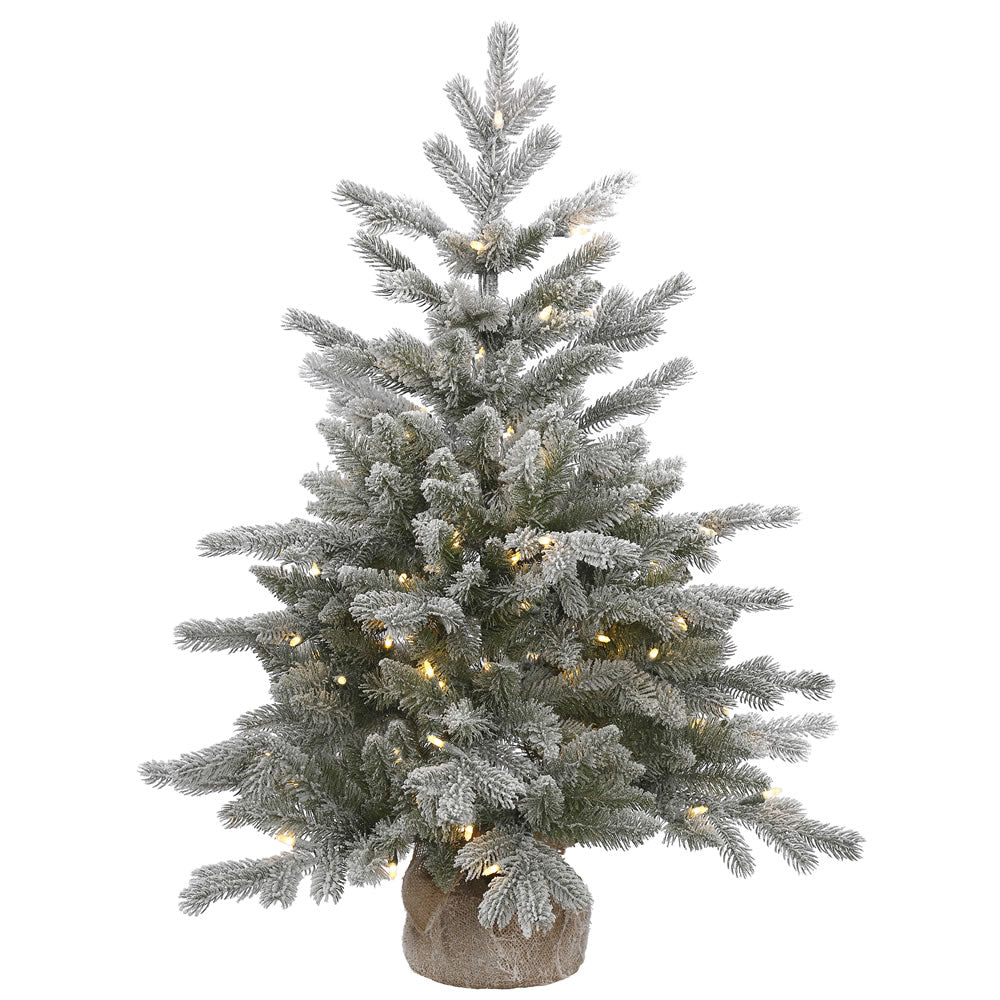 36in. Frosted Sable Pine tree 206 frosted PE/PVC tips 100 warm white LED lights