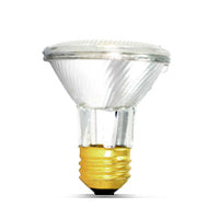 PAR20 Bulbs