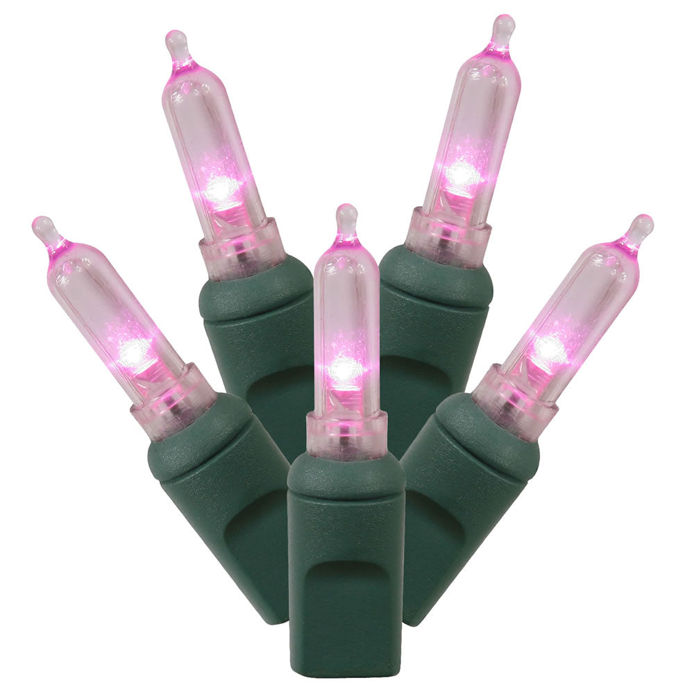 100Lt Pink LED / Green Wire Italian EC 34 ft.